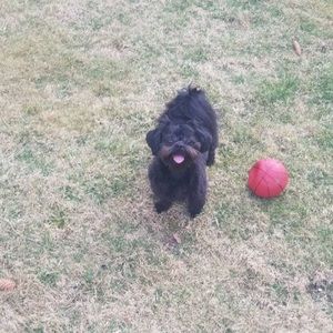 Meet your Posher, Malaikah